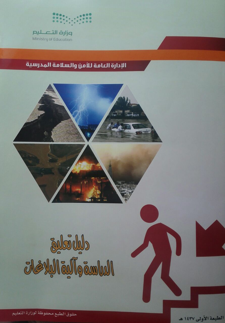 2017-02-20-P566 (2)trr.jpg