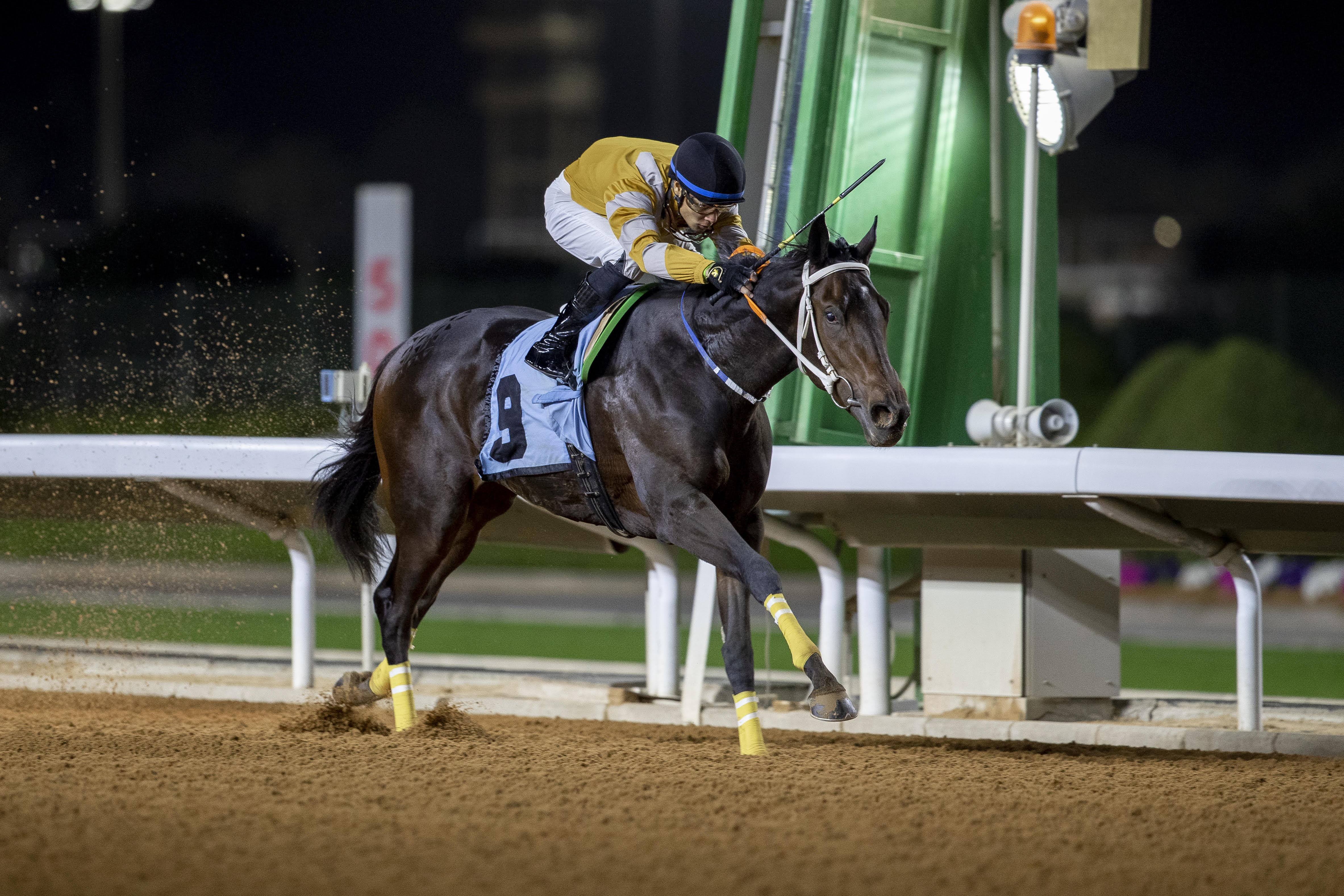 فيكتور جوتيرز