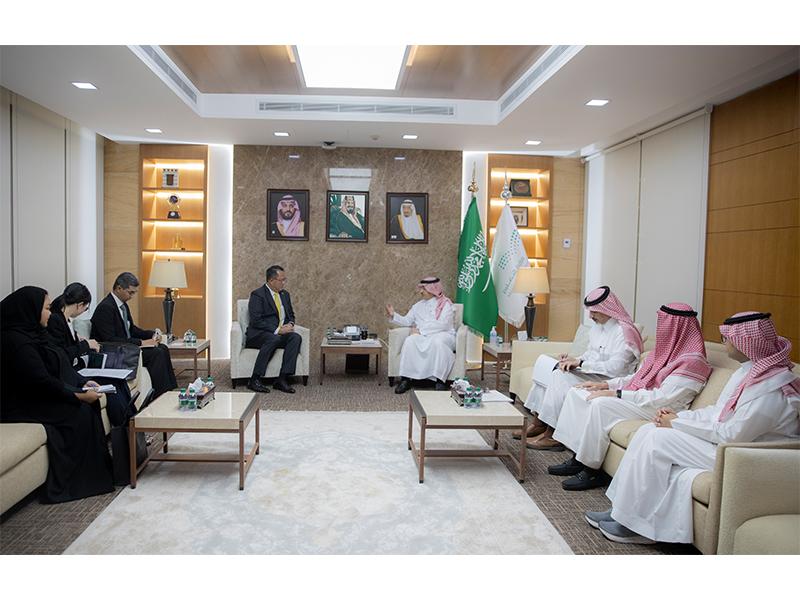 lqa'-alsfyr-altaylndy